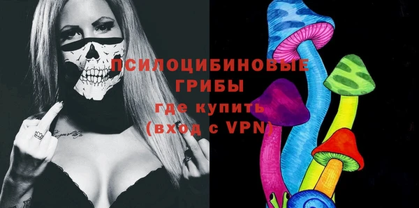 ешки Заводоуковск