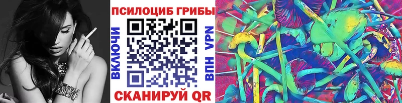 Галлюциногенные грибы Psilocybine cubensis Камышлов